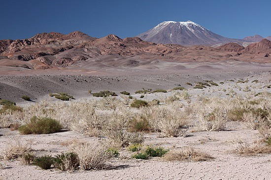 auf dem Weg nach San Pedro de Atacama