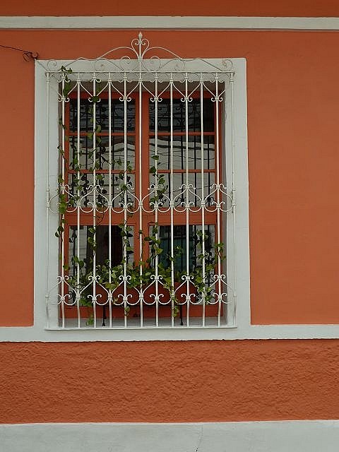 Fenster in "San Antonio"