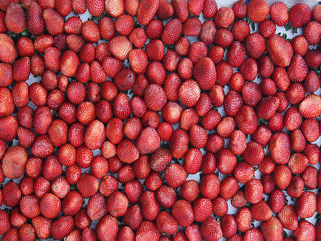leckere Erdbeeren