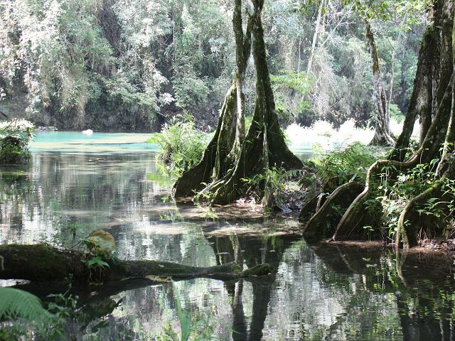 Semuc Champey