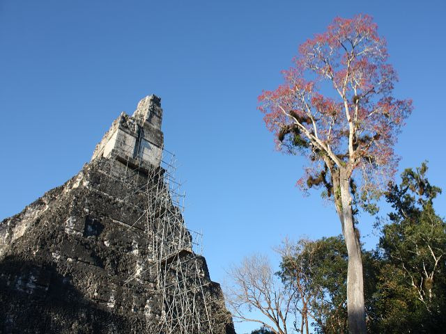 erster Blick am Abend auf Tikal