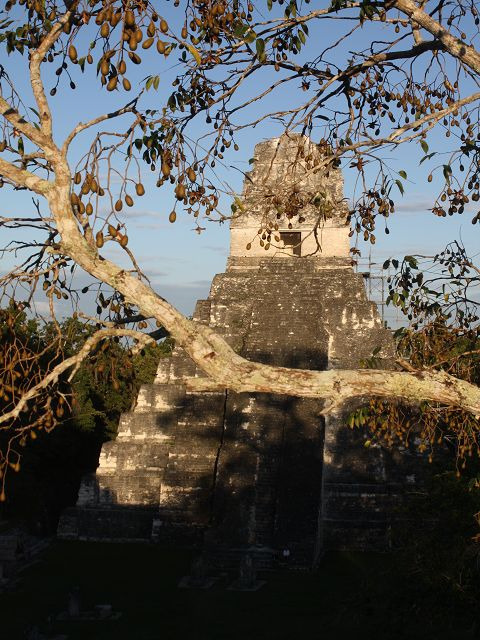 Tikal am Abend
