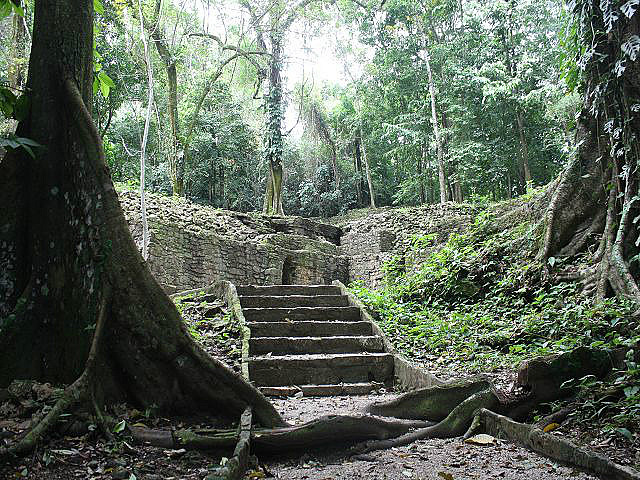 Palenque, mitten im Dschungel