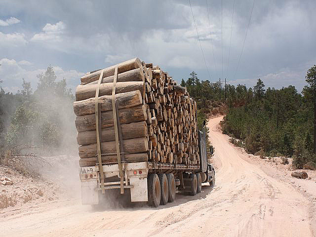 zahlreiche Holztransporter