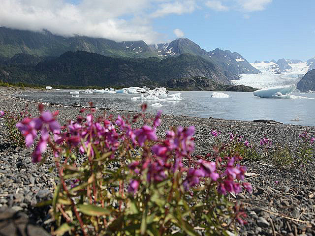 zurück am Gletscher-See
