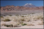 auf dem Weg nach San Pedro de Atacama