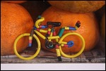 Fahrrad in den Mandarinen entdeckt ;-)