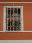 Fenster in "San Antonio"