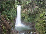 gigantische Wasserfälle, Waterfall-Gardens