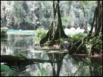 Semuc Champey