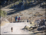 Cordillera de los Cuchumatanes