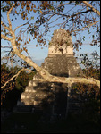 Tikal am Abend