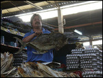 getrockneter Fisch und ein stolzer Verkäufer ;-)