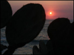 Sonnenuntergang, Puerto Escondido